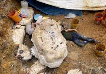 Fosil Spesies Dinosaurus Berparuh Bebek Ditemukan di Missouri, AS