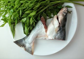 Tolong Pengidap Kolesterol Perhatikan, Kadar Kolesterol Bisa Anjlok Cuma Makan Ikan yang Sering Ada di Pasar ini, Cespleng Banget!