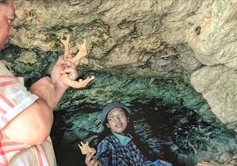 Enam Jawara Penelitian Arkeologi Indonesia untuk Siasat Pembangunan