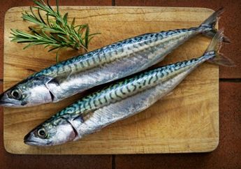 Penderita Diabetes Tetap Bisa Makan Enak! Coba Konsumsi Ikan Ini, Dapat Turunkan Gula Darah Hingga Menurunkan Berat Badan Sekaligus