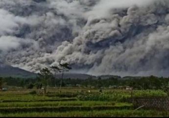 Bantu Pengungsi Semeru Atasi ISPA dan Minimnya Sarana Kebersihan, Sharp Sediakan Air Purifier dan Mesin Cuci