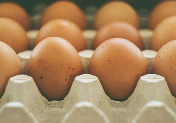 Para Istri Wajib Catat! STOP Beli Jika Menemukan Kulit Telur Dengan Ciri Ini, Bahayanya Bisa Bikin Serumah Sakit-sakitan