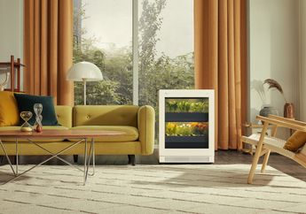 Berkebun di Dalam Rumah Kini Mudah bagi yang Sibuk dengan LG Tiiun, Bebas Hama, 8 Minggu Panen!