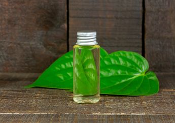 Tinggal Ambil di Depan Rumah, Jangan Kaget Daun Sirih Ternyata Bisa Hilangkan Flek Hitam, Dijamin Manjur!