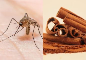 Malam Ini, Coba Ambil Kayu Manis dan Taruh di Bawah Kasur Sebelum Tidur, Jangan Kaget Besok Pagi Geleng-geleng Kepala Lihat Isi Rumah