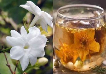 Selalu Dikaitkan Dengan Hal Mistis, Padahal Minum Air Rebusan Bunga Melati Bisa Sembuhkan Penyakit Sejuta Umat Ini, Dokter Saja Takjub