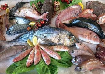 Untung Dikasih Tahu Tukang Ikan, Jangan Beli Ikan yang Biasa Jadi Lauk Di Meja Makan ini, Bisa Picu Kanker Otak Pada Anak
