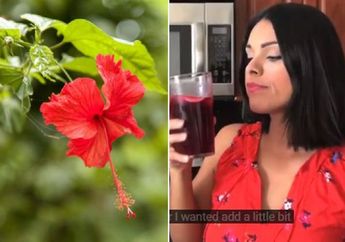 Tinggal Minum Air Rebusan Tanaman Hias Ini, Siapa Sangka Demam, Batuk hingga Pilek Hilang Dalam Sekejap!