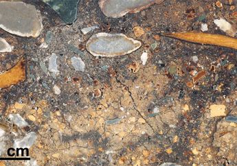 Ilmuwan Temukan DNA Hominid dan Hewan Purba di Sedimen Gua Denisova