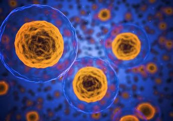 Teka-teki Biologi Berusia 40 Terpecahkan: Bagaimana Sel-Sel Makan?