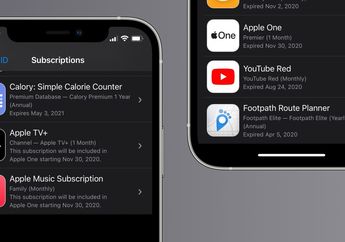 Cara Cek Status Layanan Berlangganan di iOS 15, Gampang Banget!