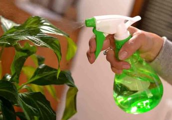 Heran Suami Tetangga Suka Semprot Tanaman Pakai Sabun Cuci Piring, setelah Coba Ternyata Efeknya Bikin Melongo Seisi Rumah, Nyesel Baru Tahu!