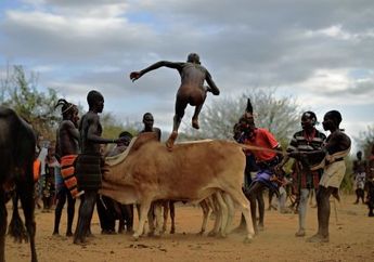 Ritual Lompat Banteng di Ethiopia Ini Dilakukan Sebagai Tanda Kesiapan Seorang Pria Suku Hamer untuk Bangun Keluarga Sendiri, Lompat Empat Kali Tanpa Pakaian Pertanda Dia Boleh Menikah Empat Kali