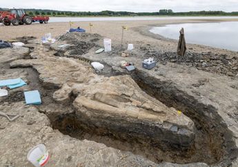 Penemuan Fosil 'Naga Laut' Sepanjang 10 Meter di Rutland, Inggris