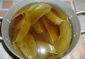 Orang Sakit Patut Bersyukur Kalau Tahu ini, Atasi Diabetes Cuma Rajin Minum Teh dari Air Rebusan Daun ini, Kurang 24 Jam Efeknya Bisa Terasa!