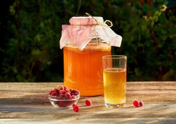 Mengandung Kafein dan Rasa Asam yang Kuat, Teh Kombucha Sebaiknya Tidak Dikonsumsi Ibu Hamil
