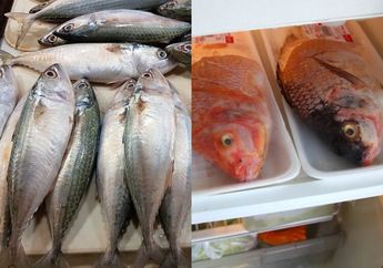 Para Istri Tak Perlu Khawatir Saat Menyimpan Ikan di Kulkas, Tuangkan Cairan Ini Membuatnya Awet Berminggu-minggu