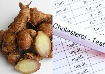 Kolesterol Jahat Bisa Minta Ampun, Rahasianya Cuma Pakai Kencur yang Diolah Seperti Ini, Obat dari Dokter Bisa Tak Terpakai Lagi!