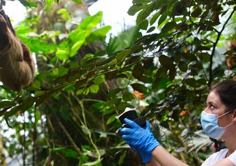 Mungkinkah Ahli Biologi Bisa Mengumpulkan DNA Satwa dari Udara?