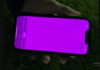 Apple Jelaskan Penyebab Layar Pink di iPhone 13, Karena Software?