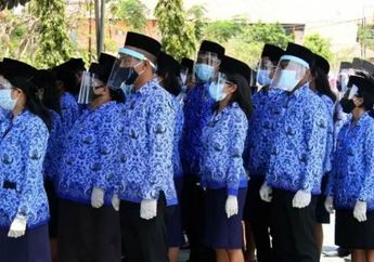 Ini 4 Tunjangan yang Didapatkan Tenaga Honorer Jika Lolos Seleksi PPPK 2022