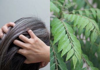 100 Kali Lebih Hebat dari Semir, Cara Ampuh Hilangkan Uban di Kepala Cuma dengan Bahan Mirip Daun Salam Ini, Pasti Puas Lihat Hasilnya!