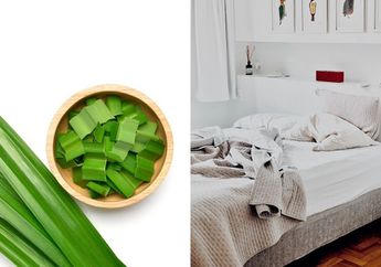Mulai Malam Ini, Coba Cuci Bersih Daun Pandan Lalu Taruh di Bawah Tempat Tidur, Jangan Kaget Jadi Susah Lepas dari Kasur