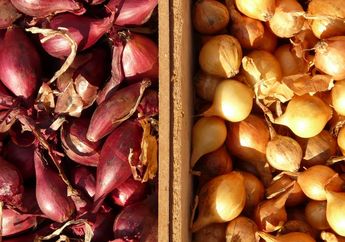 Ternyata Bawang Putih dan Bawang Merah Dapat Dimanfaatkan Sebagai Pupuk Alami Tanaman, Tunggu 2 Minggu Ini yang Akan Terjadi!