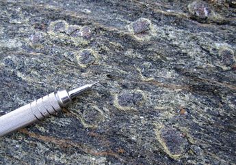 Sains Terbaru: Geologi Pantai Oman Ungkap Pemahaman Baru Subduksi