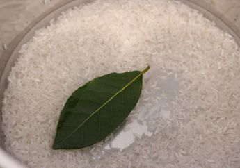 Sudah Pernah Coba Belum? Coba Cemplungkan 1 Lembar Daun Salam saat Maskak Nasi, Jangan Kaget Sekeluarga jadi Jarang ke Rumah Sakit
