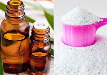 Rugi Banget Telat Tahu! Cukup Modal Minyak Kayu Putih Bisa Usir Tungau yang Ada di Kasur Tempat Tidur, Begini Caranya