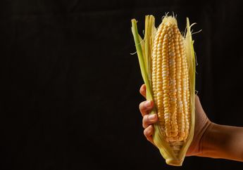 Padahal Cuma Makan Jagung Tapi Malah Bikin Ketagihan karena Anemia Sampai Kolesterol Bisa Sembuh Meski Tanpa Minum Obat, Bersyukur Banget!