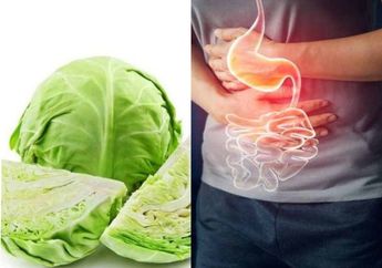 Tak Perlu Buru-buru ke Dokter, Sayur Kubis Ternyata Bisa jadi Obat Alami Atasi Asam Lambung dengan Segera jika Diolah dengan Cara Ini