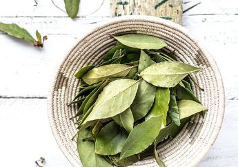 Kalau Gak Mau Masuk Rumah Sakit, Coba Tambahkan Daun Salam Tiap Mau Masak, Dijamin Penyakit Mematikan Ini Gak Bakal Masuk Tubuh