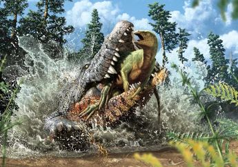 Temuan Tulang Dinosaurus Dari Dalam Perut Buaya Purba di Australia