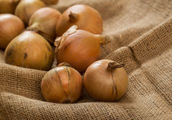 Bikin Repot karena Saluran Pembuangan Air Tersumbat Rambut, Saatnya Moms Coba Kulit Bawang Bombay untuk Atasi Rambut Rontok