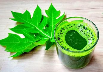 Cuma Petik 3 Lembar Daun Pepaya Lalu Dibuat Jus, Pria ini Sujud Syukur Penyakit yang Jadi Musuh Sejuta Umat ini Gak Berani Masuk Tubuhnya
