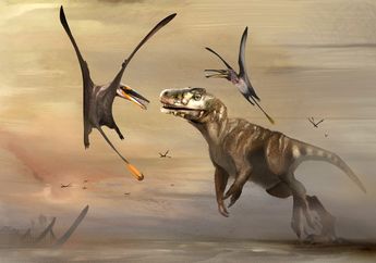 Dearc sgiathanach, Reptil Terbang Terbesar Zaman Jura dari Skotlandia