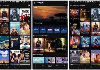 Penggemar Fiilm Bersorak, Disney+ Hotstar Resmi Hadir Di Smart TV LG