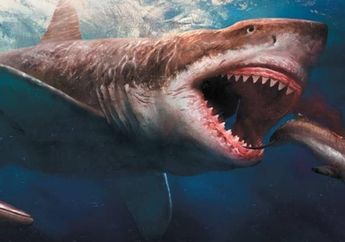 Bocah Berusia Enam Tahun Menemukan Gigi Megalodon yang Langka