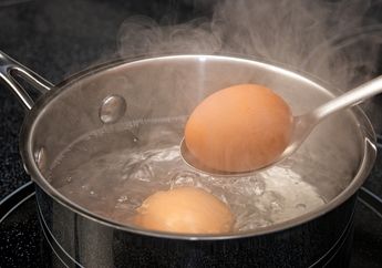 Dijamin Bikin Suami Puas, Makanan Enak Ini Bisa Jadi Obat Kuat Alami untuk Perempuan