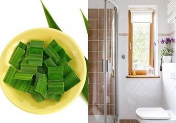 Cara Membuat Pengharum Kamar Mandi dengan Daun Pandan, Tetangga Sampai Kaget Lihat Perubahannya!