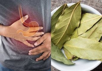 Modalnya Cuma Selembar Daun Salam yang Dikonsumsi Begini, Dijamin Nyeri Asam Lambung Langsung Hilang Seketika