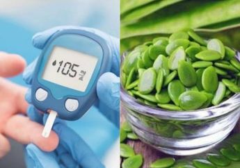 Bisa Hemat Biaya Dokter Ratusan Ribu! Petai Cina Ternyata Bisa jadi Obat Alami yang Ampuh Atasi Diebetes Tak Kalah dari Obat Mahal