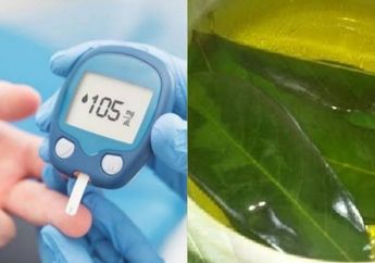 Penderita Diabetes Langsung Sujud Syukur, Cuma Modal Air Rebusan Daun Buah Ini Gula Darah Bisa Stabil Hanya dengan Sekali Teguk