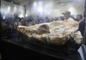 Penemuan Tengkorak Monster Laut, Diduga Spesies Baru Basilosaurus