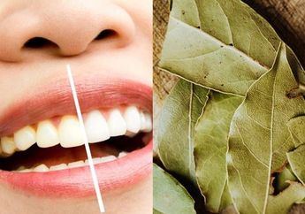 Biaya Dokter Gigi Mahal, Coba Gunakan Daun Salam Untuk Atasi Noda Kuning Pada Gigi dan Lihat Hasil Nyatanya yang Bikin Takjub