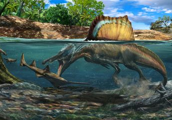 Analisis Baru, Spinosaurus Menyelam dan Memburu Mangsanya di Bawah Air