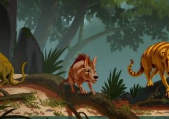 Mamalia Seukuran Kucing ini Hidup Setelah Kepunahan Dinosaurus
