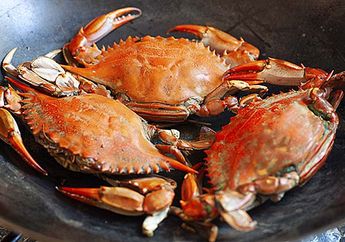 Menyulap Cangkang Kepiting dan Lobster Menjadi Baterai Terbarukan